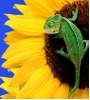 MozgFx_2
